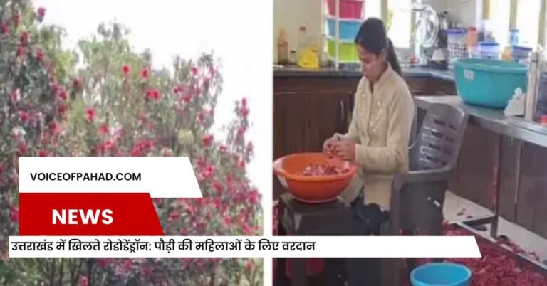 उत्तराखंड में खिलते रोडोडेंड्रॉन - पौड़ी की महिलाओं के लिए वरदान